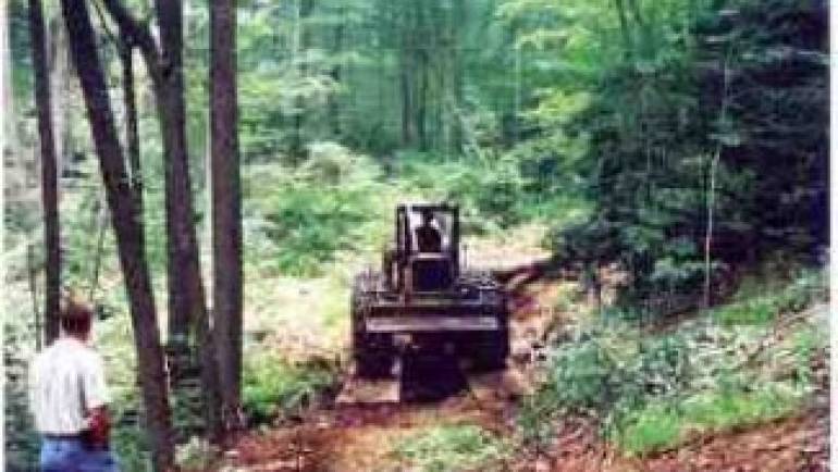 Forestry Services