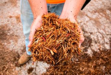 Bark Mulch