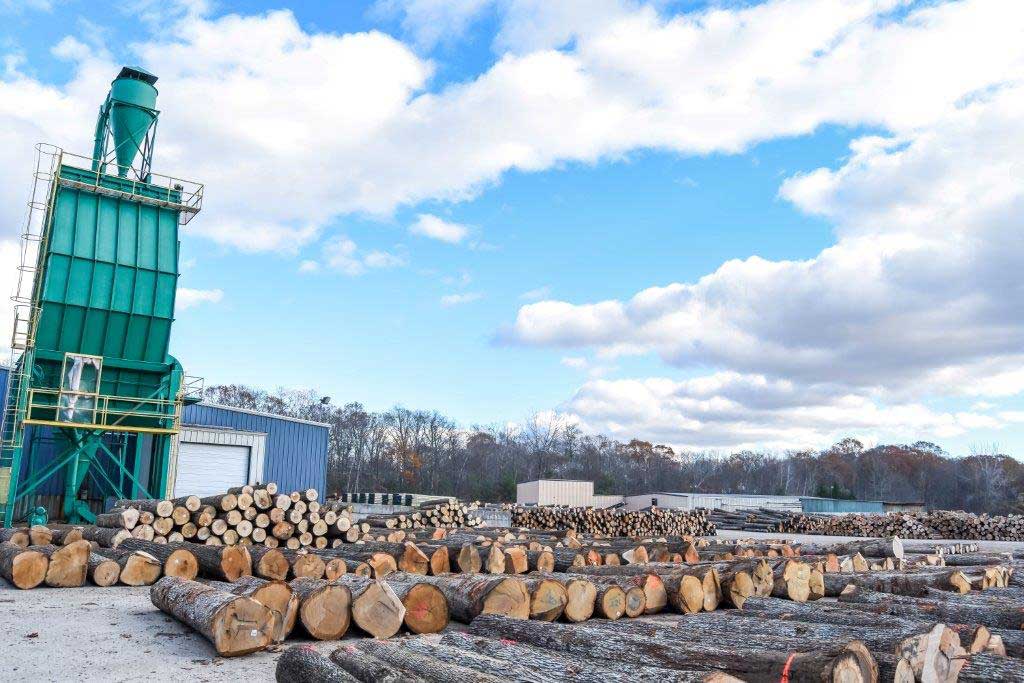 Logs Scotland Hardwoods