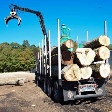 Loading Logs